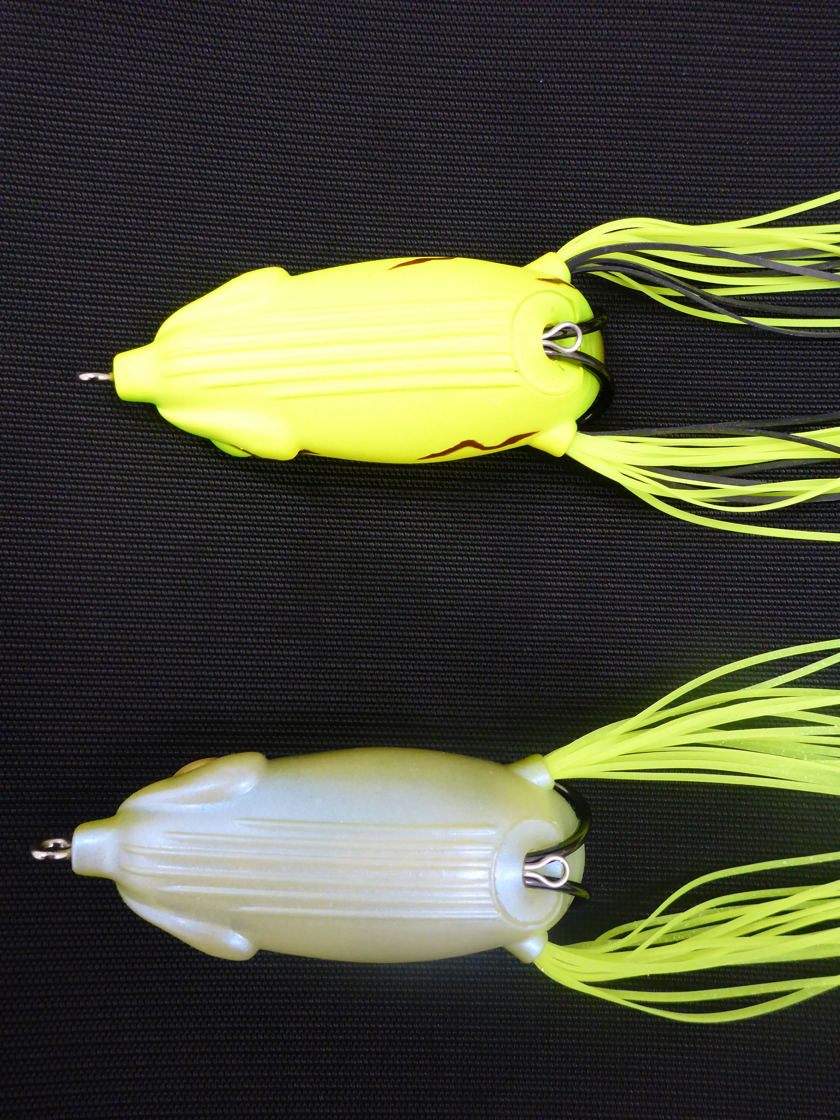 フロッグのカラーの話。 | 菊元俊文.jp