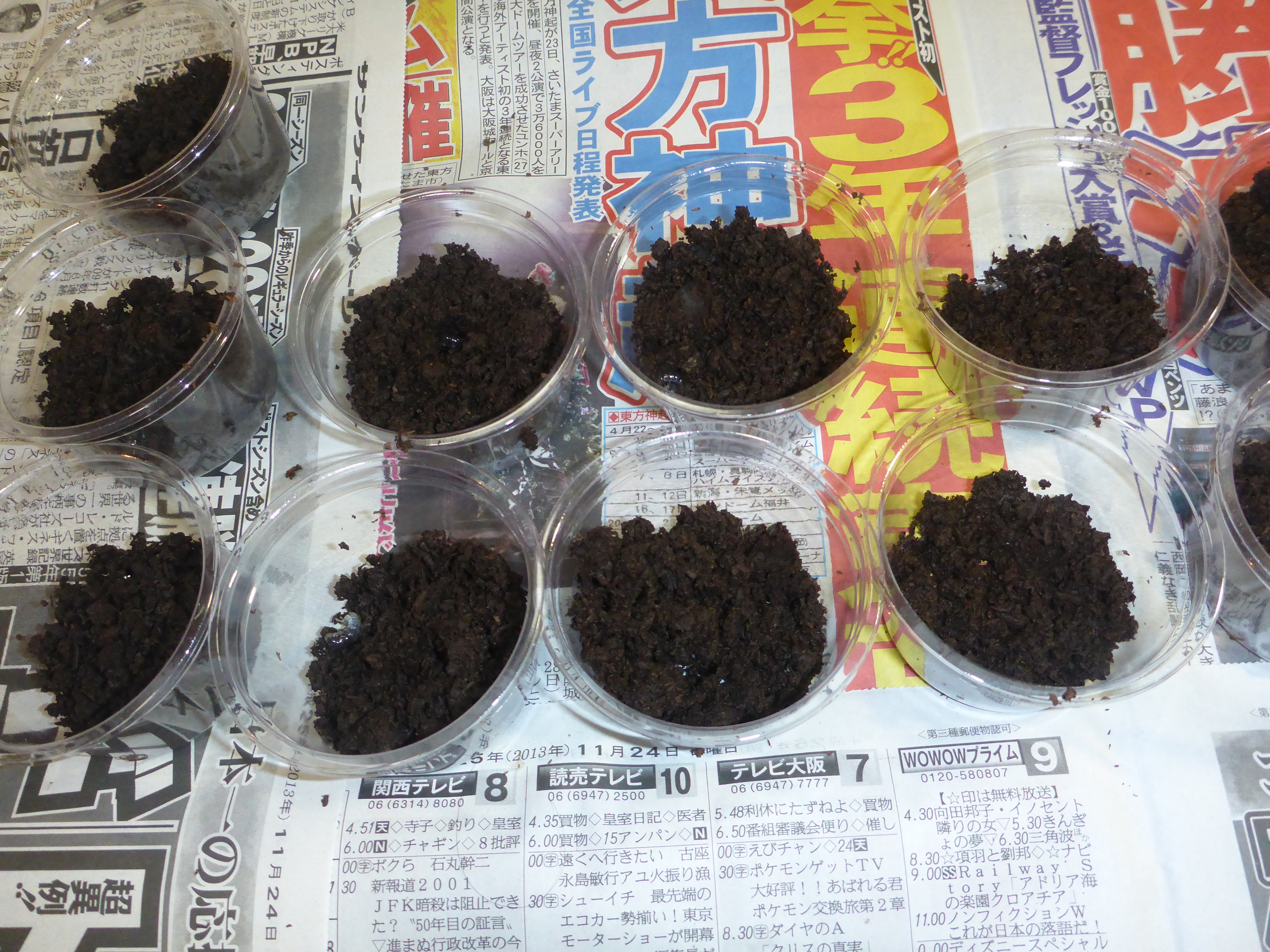 e98d5a32c57cd4d09724d8c80cca92