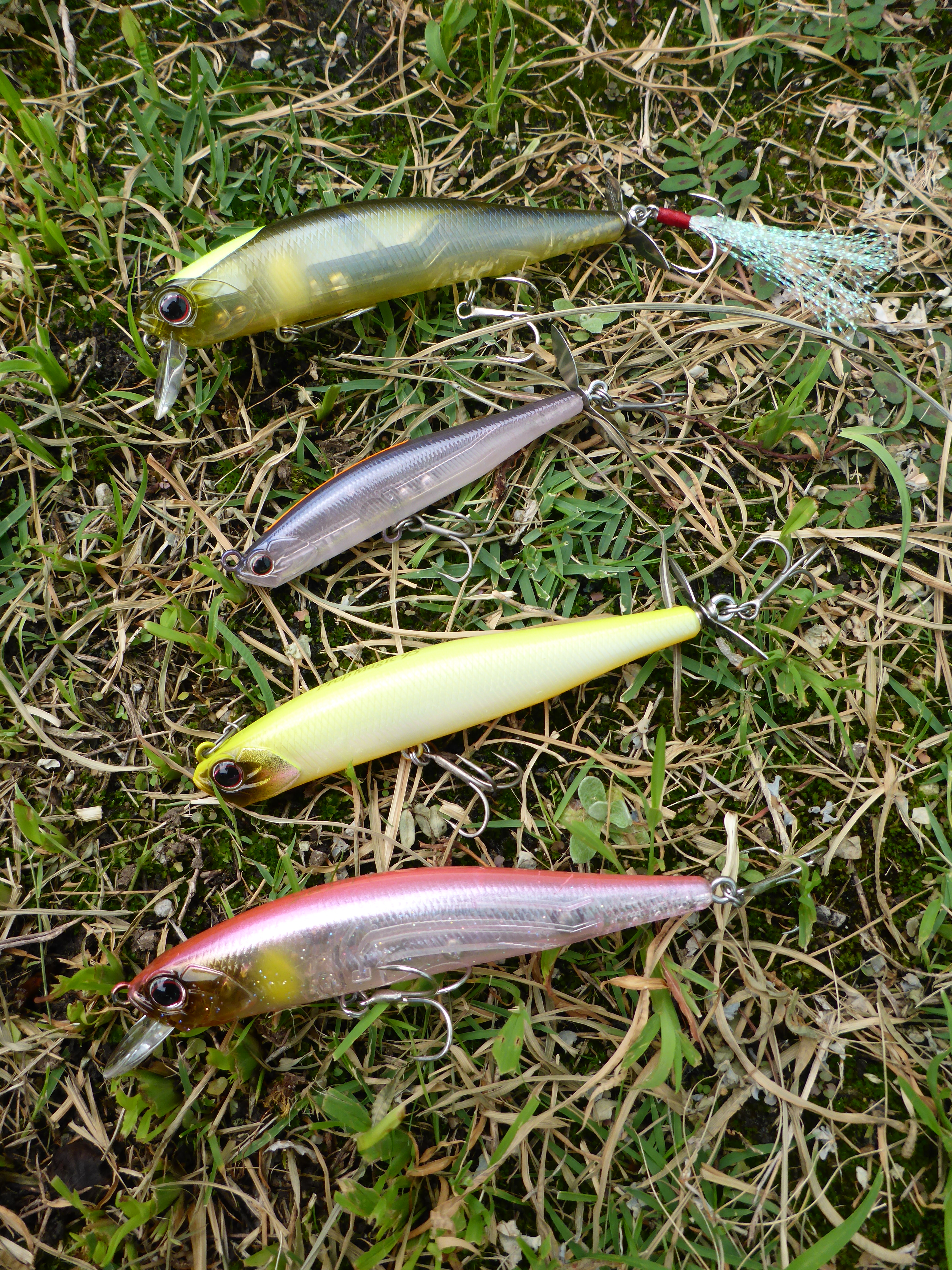 今、琵琶湖で釣れまくりのルアー。 | 菊元俊文.jp