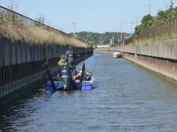 仕方なしに