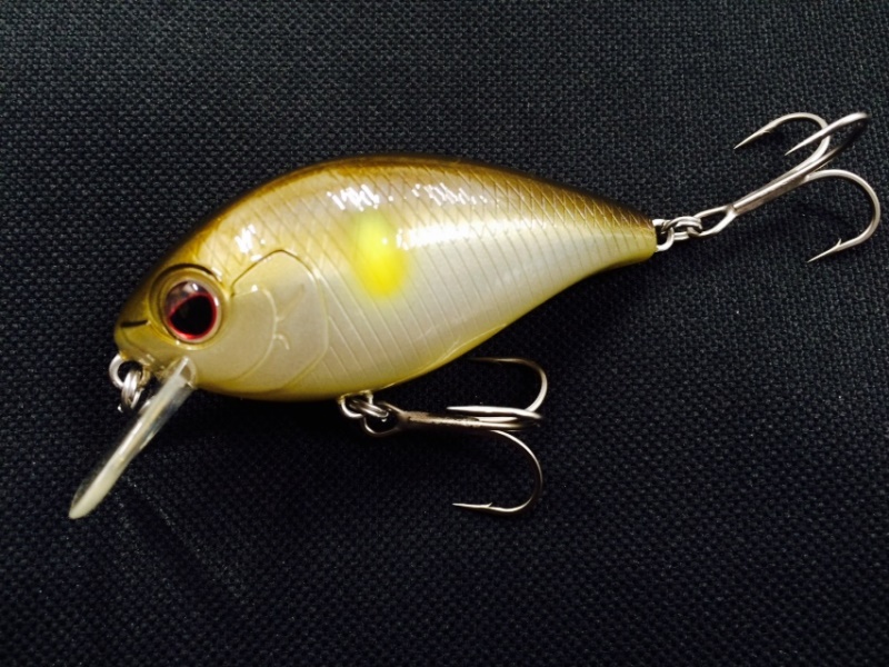 aef02c448761f17fe455904caa2bb2