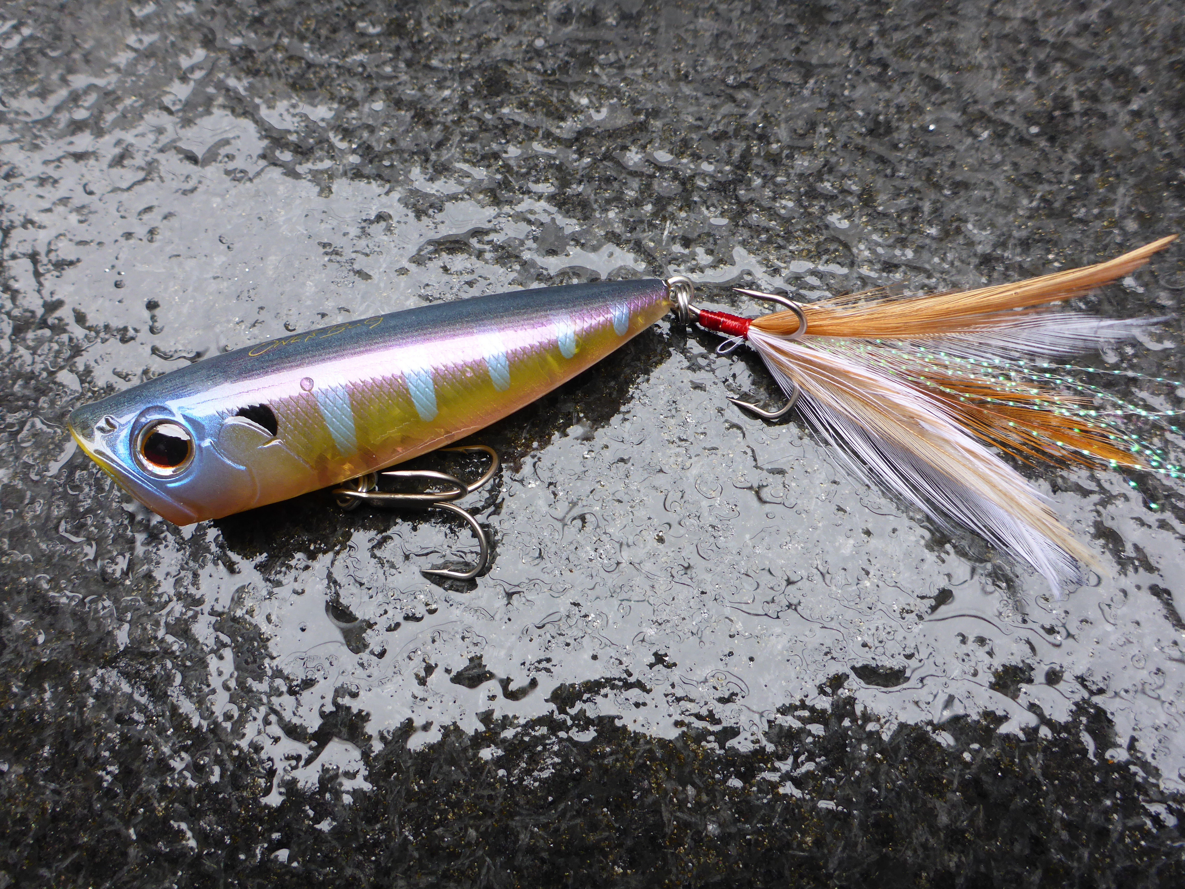 ワンズバグニューカラー。 | 菊元俊文.jp