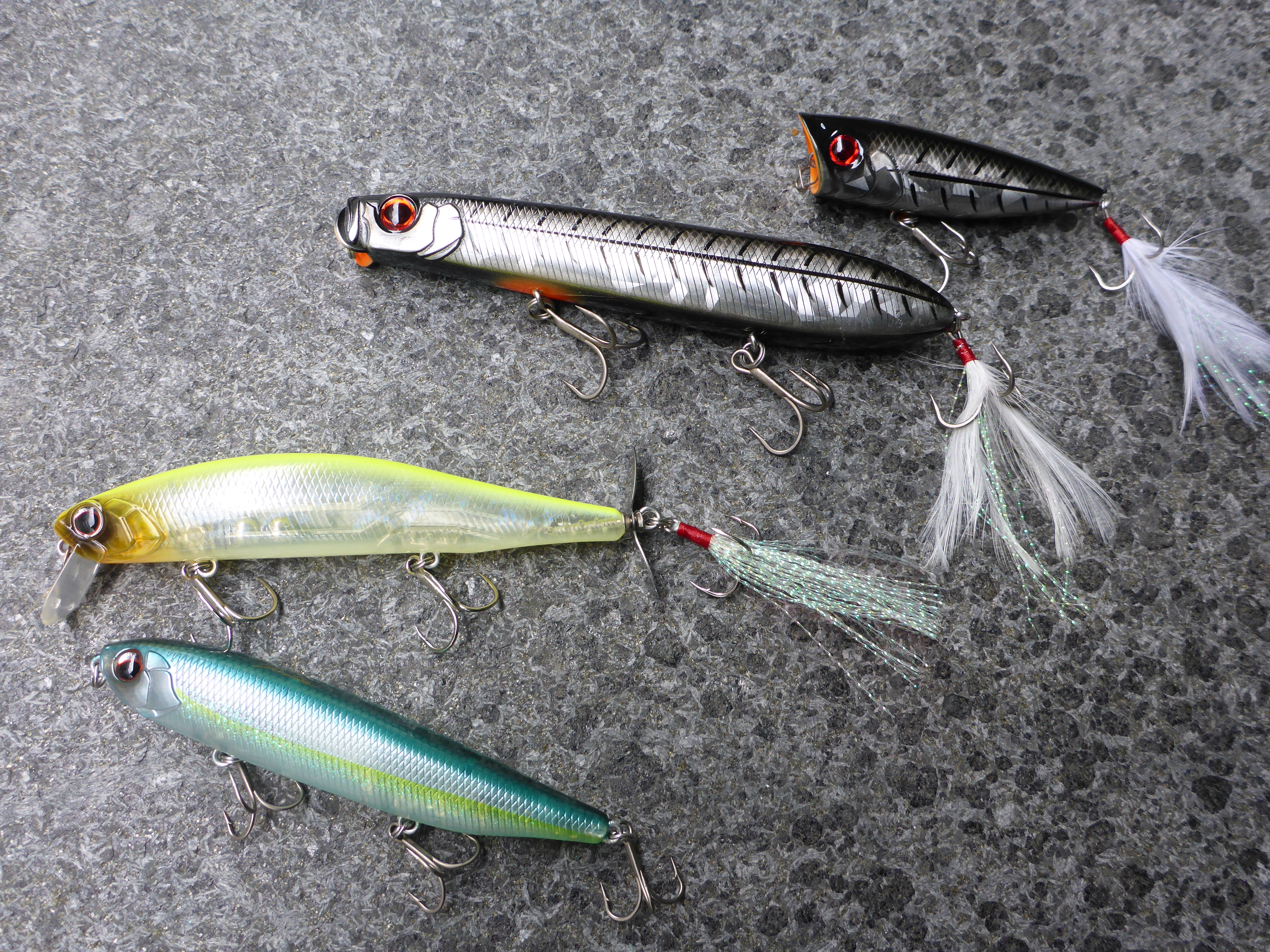 トップで釣りたいカエルで釣りたい。 | 菊元俊文.jp