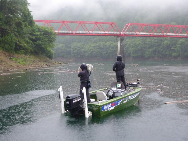 朝からダダ雨