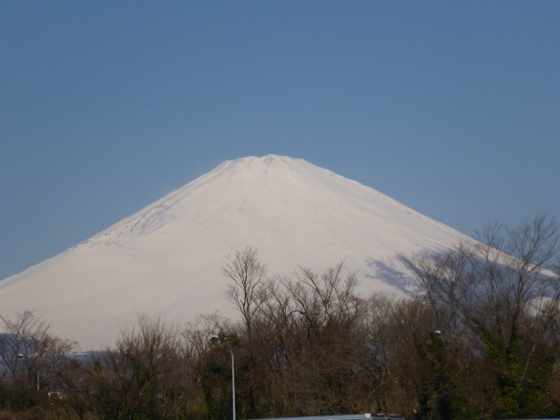 富士山