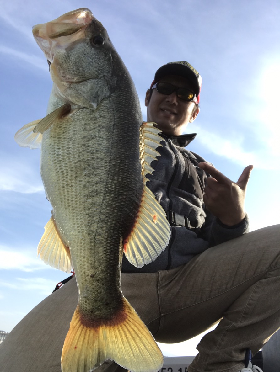 菊元俊文.jp｜ 出発。