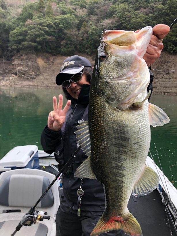 長さ〜19mオライオン　スターゲイザー