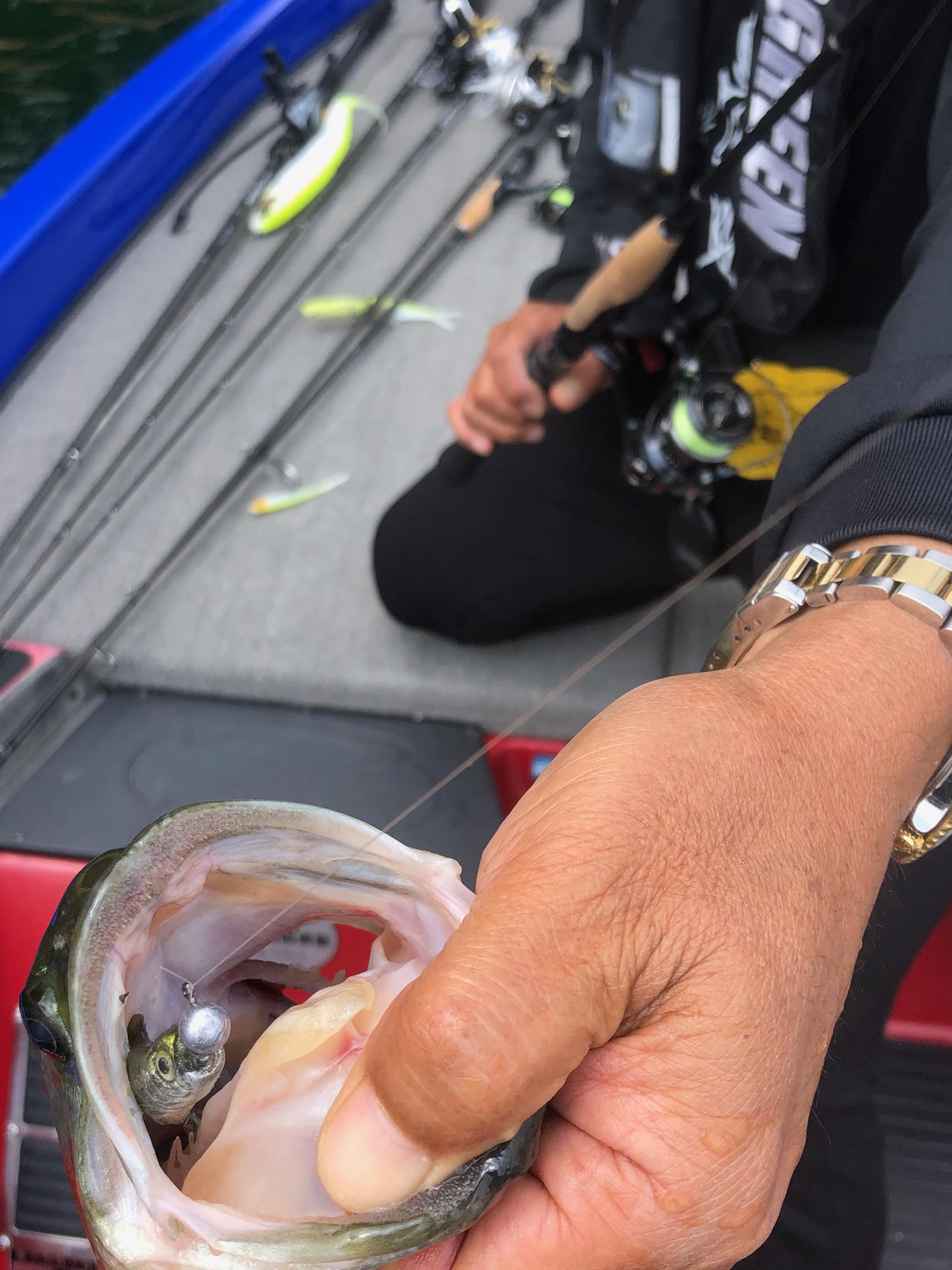 ラスト1点 USB Type-Cコネクター 基板用: ケーブル・コネクター 秋月電子通商